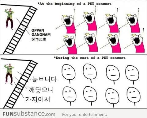 Reality of a PSY concert