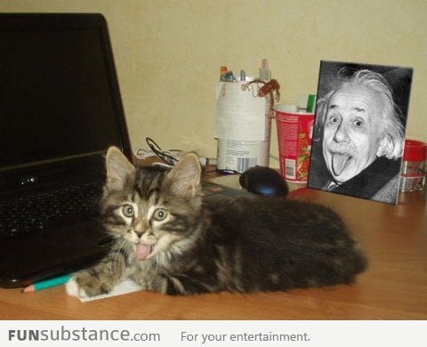 Albert Einstein's cat!