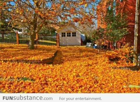 That's why I love autumn