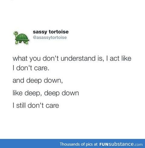 Words of wisdom from Sassy Tortoise