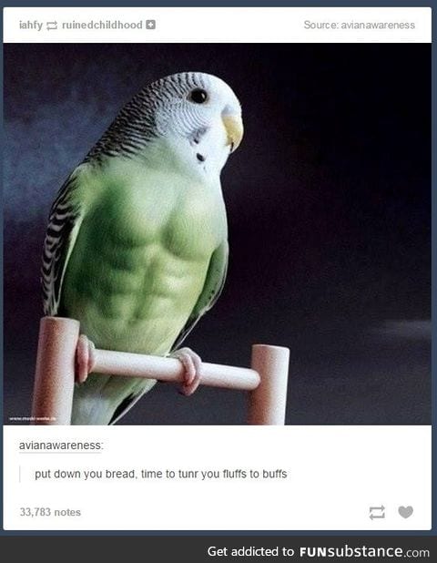 He'll Peck Your Shit