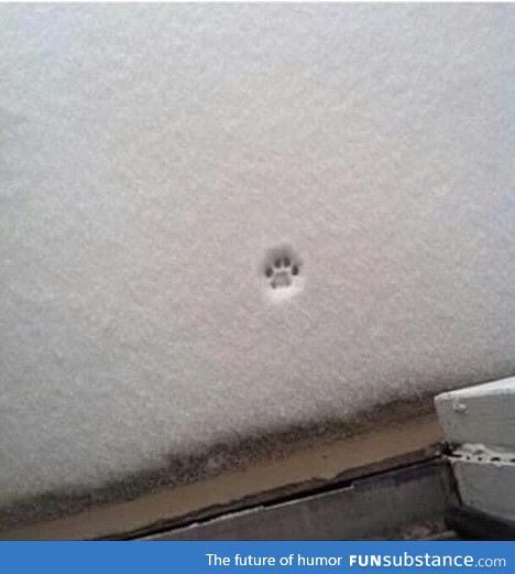 The cutest "nope" there ever was