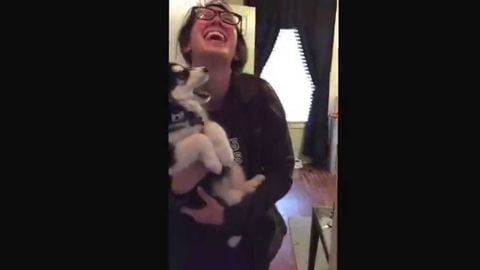 Talking husky puppy