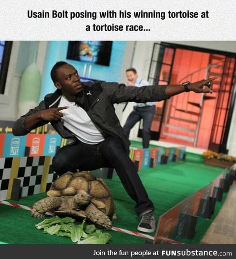 Usain Bolt's Tortoise