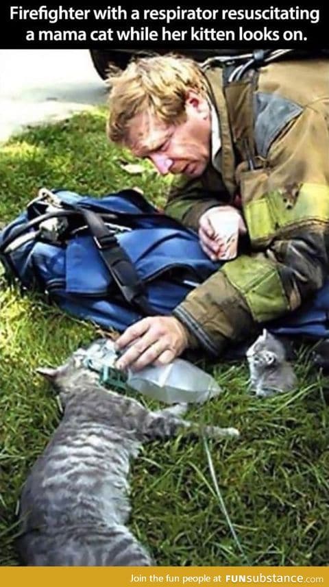 Firefighter with a respirator resuscitating a mama cat while her Kitten
