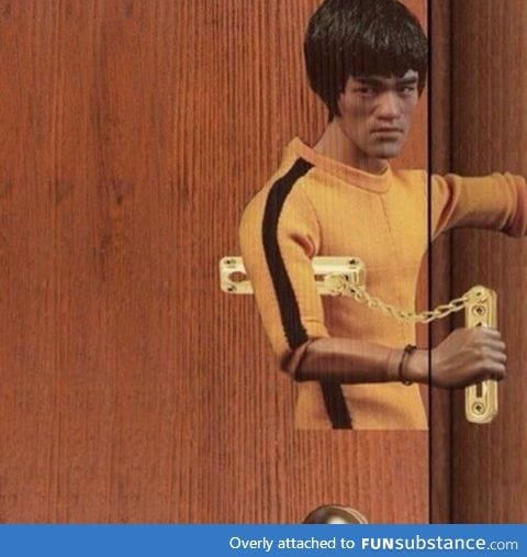 Bruce Lee door lock