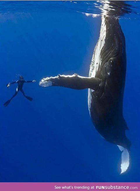 Literally one of the biggest high fives ever