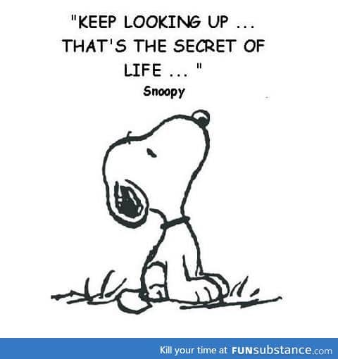 snoopy the wise