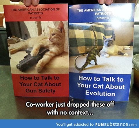 Kitty education is very important