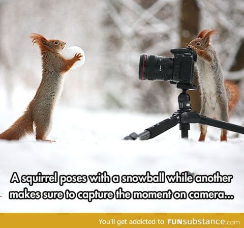 But which squirrel took this picture?