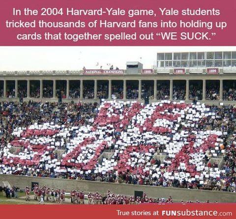 Yale has funnier people
