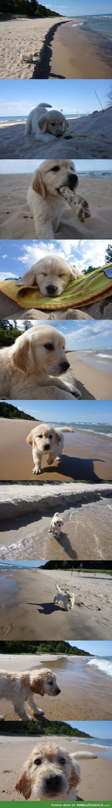 First trip to the beach? That's golden!