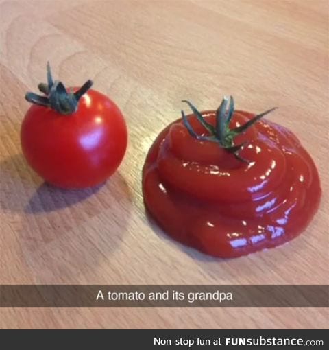 Tomato family