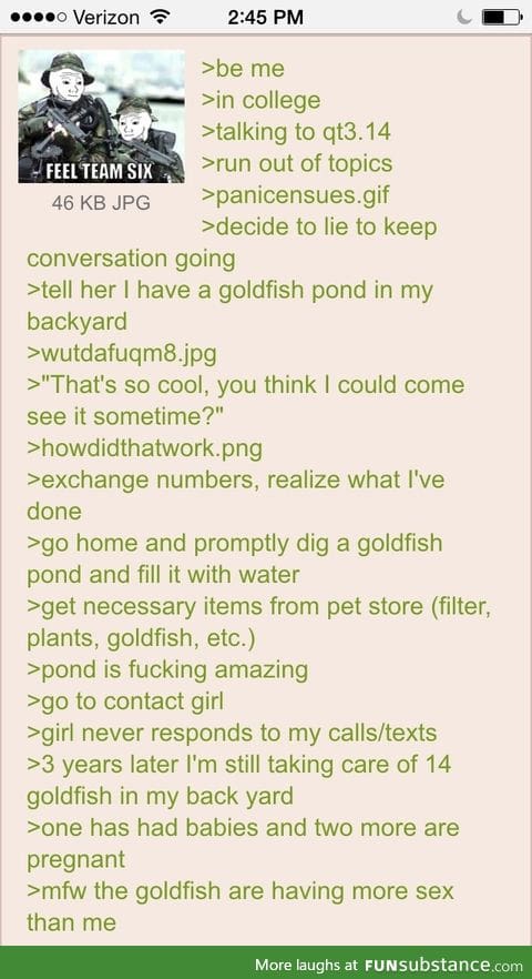 Anon and his goldfish