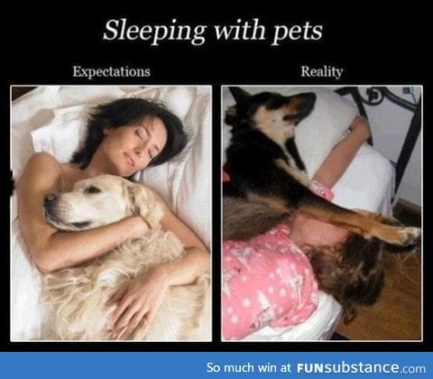 Sleeping with your pet