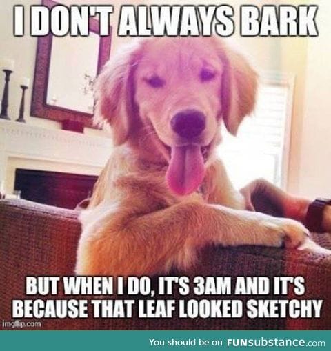 Dog Doesn't Always Bark