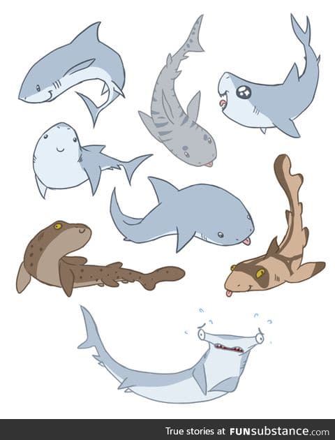 sharks don't have to be scary! (artist in source)