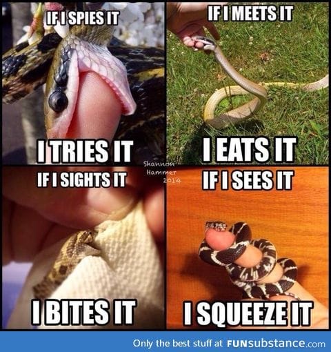 Sneks