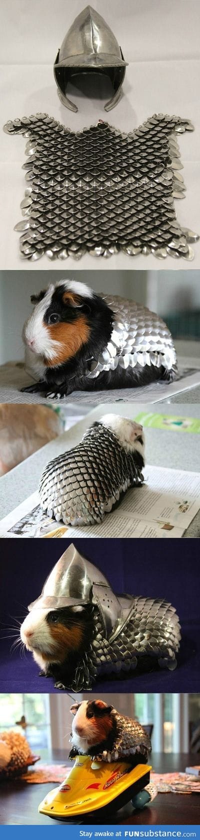 Guinea Pig Armor