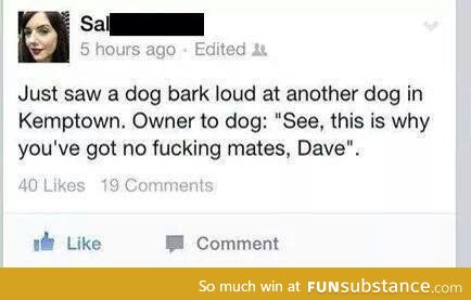 U fukin twat Dave