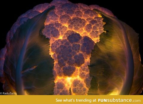 Light Within a Cauliflower
