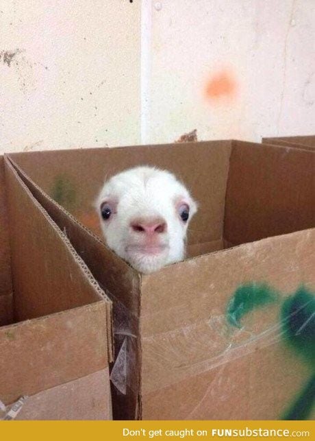 When you hear a noise while showering home alone