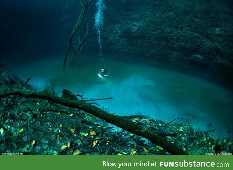 Underwater river in Yucatan, Mexico