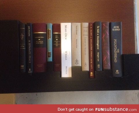 Hotel room's bookshelf was built for these specific books