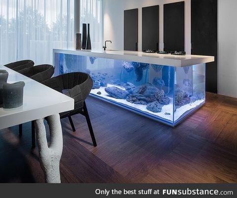 This kitchen island has an aquarium inside it