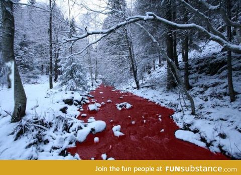 River of blood, in Norway