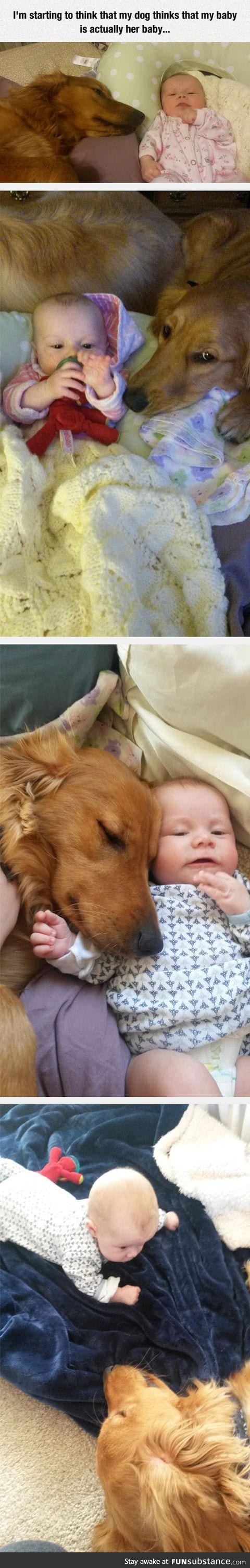 Dogs make good moms