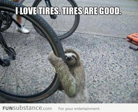 Your daily dose of sloth