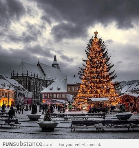 Awesome Christmas tree in Brasov, Romania