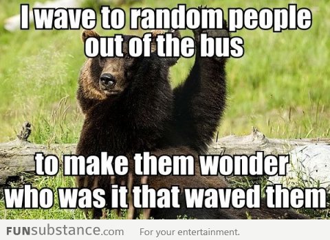 Confession bear and the public transportation