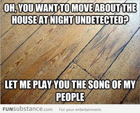 Scumbag Floorboard