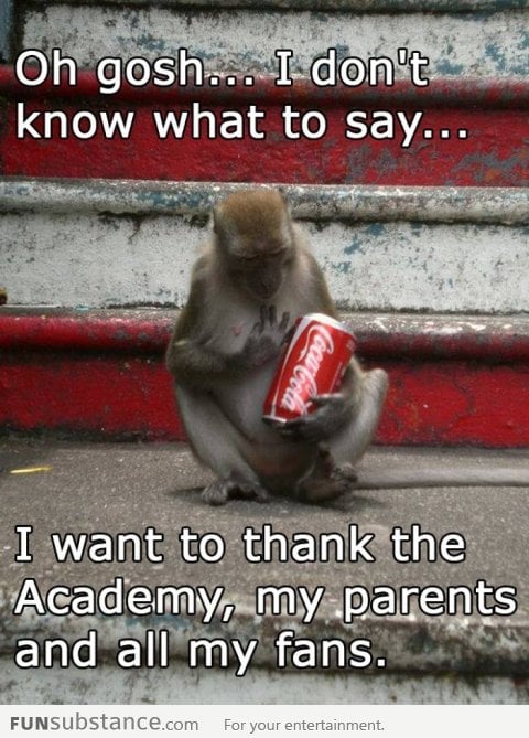 Award winning monkey