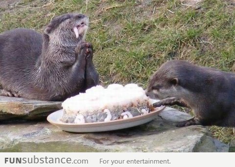 "Thank you god for this amazing shrimp cake!"