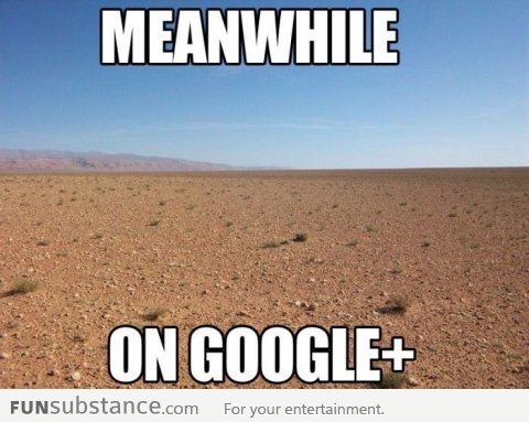 Meanwhile On Google+