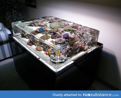 A completely clear aquarium