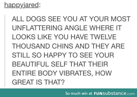 Dogs are beautiful creatures
