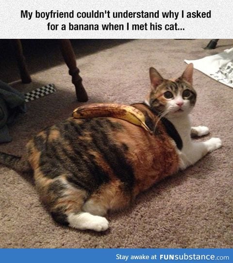 Banana for kitty scale