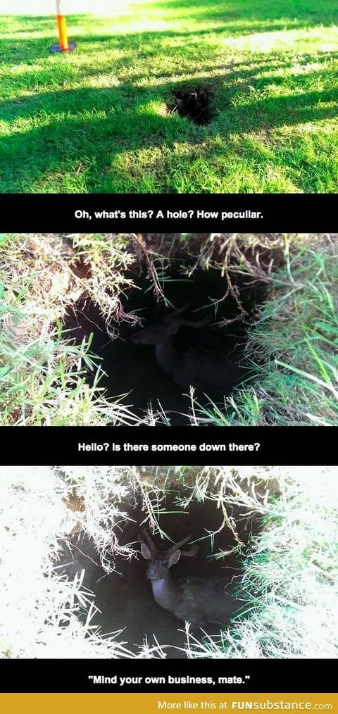 Something weird in a burrow