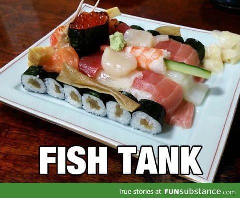 Two fish are in a tank. One says, "How do you drive this thing?".