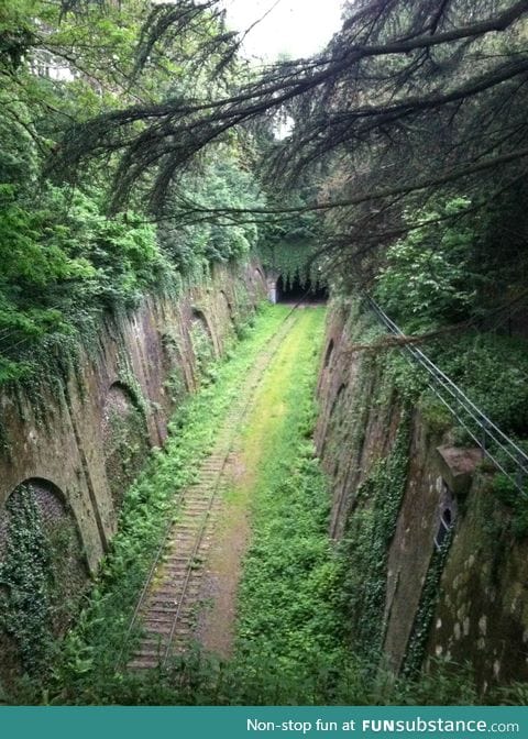 Beautiful old metro rail reclaimed by nature