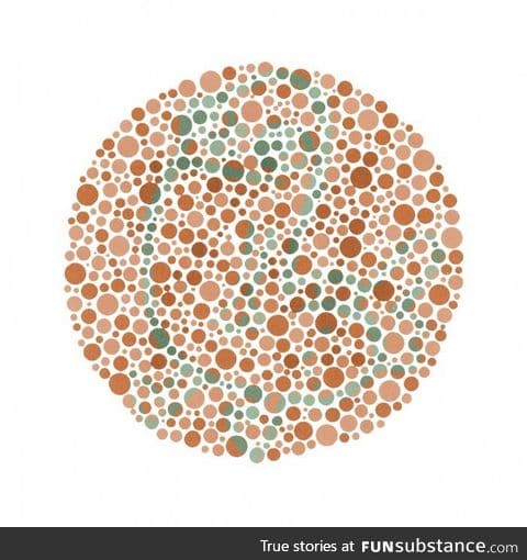 What do you see?