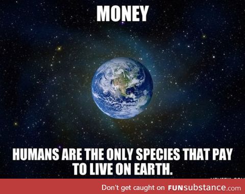 Humans and their money