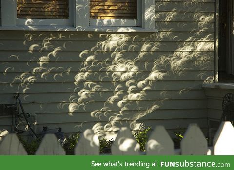 Shadows of leaves from a tree during a solar eclipse