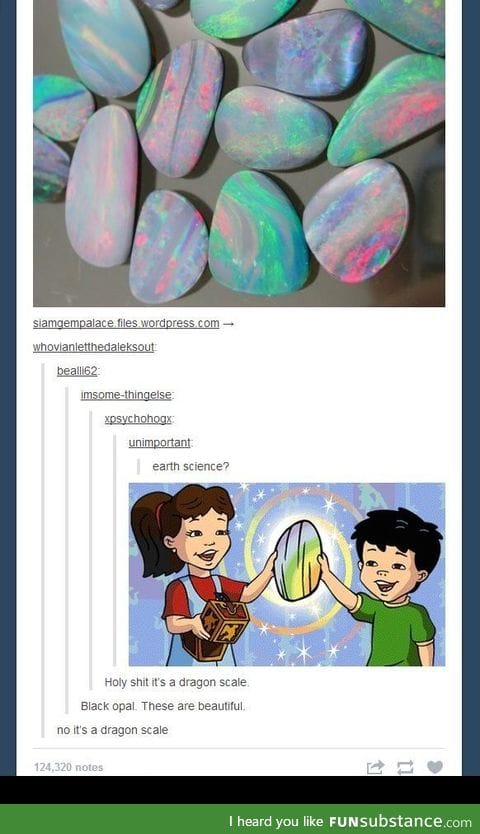 No they're dragon scales