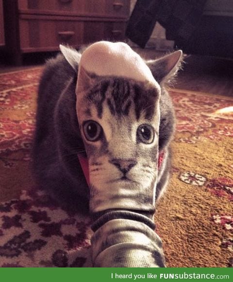 Cat face socks