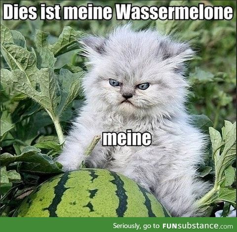 Meine watermelon